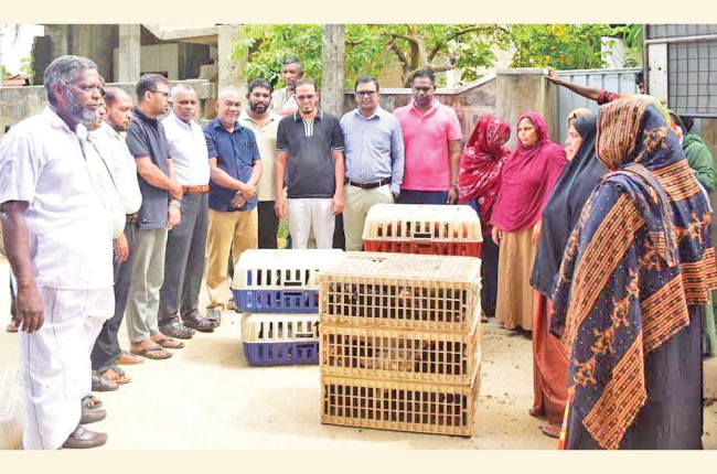 Development programme to promote women’s self-employment held in Palamunai